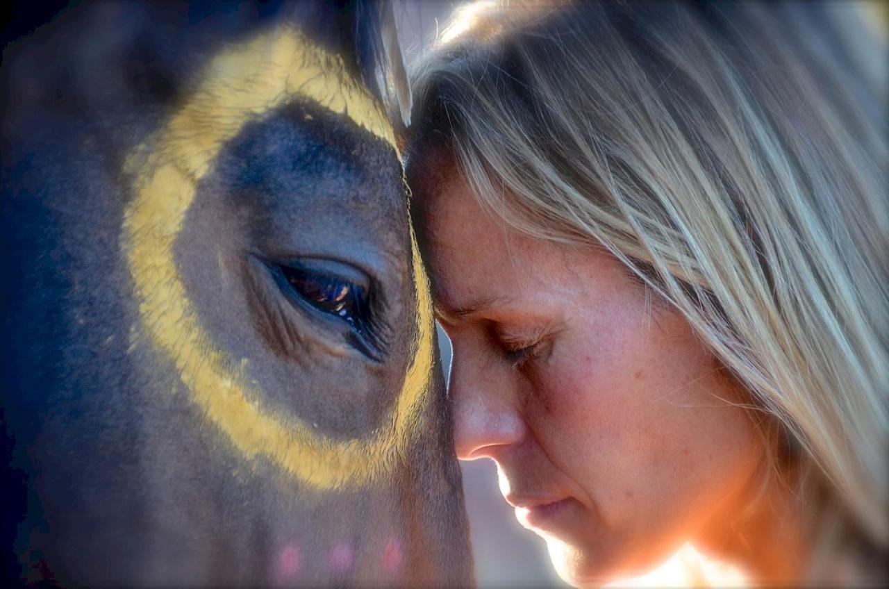The Mountain Lion - Horses Sedona'S Most Loved Exterior foto