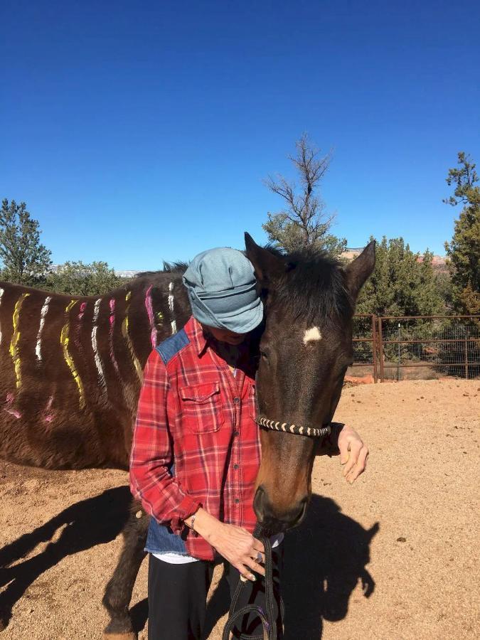 The Mountain Lion - Horses Sedona'S Most Loved Exterior foto